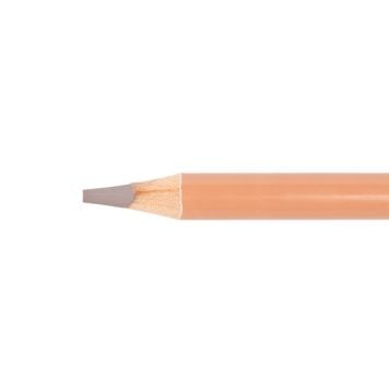 Олівець кольоровий 99IDEAS "Color Expert" Ash/Попелястий, 99CE-ASH 802565 фото