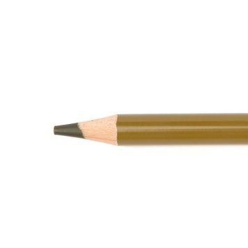 Олівець кольоровий 99IDEAS "Color Expert" Reed/Тростинний, 99CE-REED 802526 фото